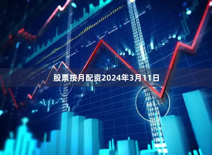 股票按月配资2024年3月11日