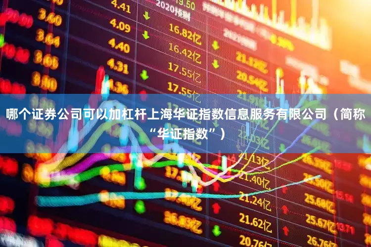 哪个证券公司可以加杠杆上海华证指数信息服务有限公司（简称“华证指数”）