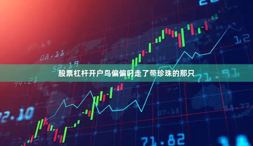 股票杠杆开户鸟偏偏叼走了带珍珠的那只