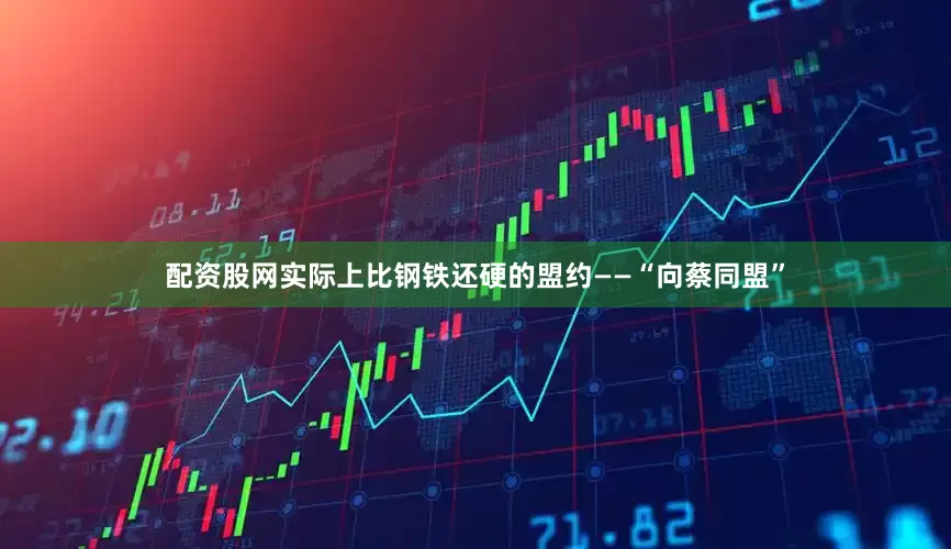 配资股网实际上比钢铁还硬的盟约——“向蔡同盟”